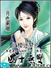 红楼迷梦之国士无双图片