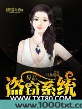 极品盗窃系统图片