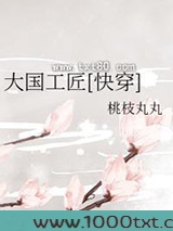 大国工匠[快穿]图片