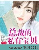 总裁的私有宝贝图片