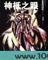 神祗之眼图片