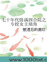 七十年代情满四合院之专挖女主墙角图片