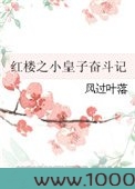 红楼之小皇子奋斗记图片
