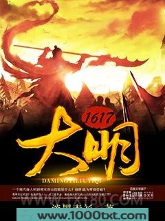 大明1617图片