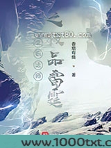 全职法师之极品雷霆图片