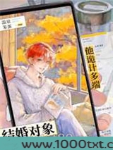 结婚对象他诡计多端