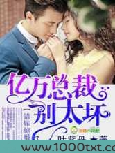 错嫁惊婚，亿万总裁别太坏