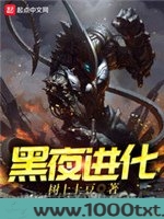 黑夜进化