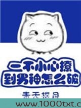 一不小心撩到男神怎么破图片