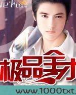 极品全才图片