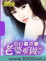 宠妻一加一:老婆难做图片