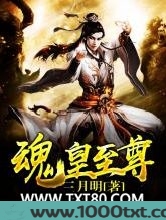 魂皇至尊图片