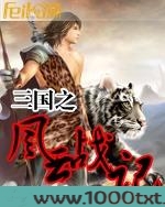 三国之风云战记图片