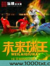 未来球王图片
