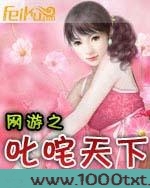 网游之叱咤天下图片