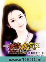 一夜情夜疯狂
