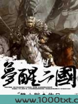 梦醒三国图片