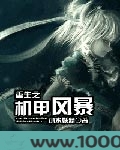 重生之机甲风暴图片