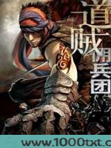 道贼佣兵团图片