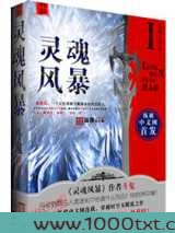 灵魂风暴图片