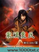 东汉袁氏图片