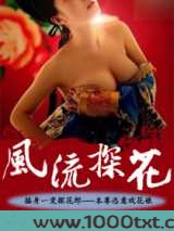 风流探花
