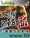 网游之征服图片