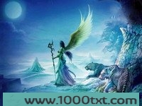 网游之圣龙传说图片