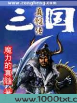 三国真髓传图片