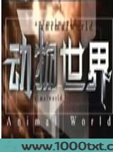 动物世界