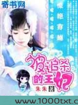 惊艳穿越：被追杀的王妃