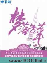 梦落芳华图片