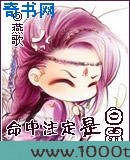 命中注定是白鼠图片