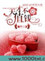 [综美剧]天才不值钱图片
