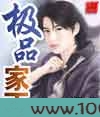 极品家丁