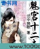 魅宫十二夫图片