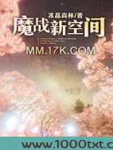 魔战新空间TXT完结图片