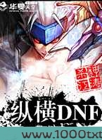 纵横DNF