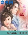 朕也是老婆奴