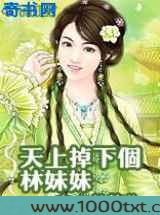 天上掉下个林妹妹