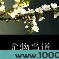 尤物当道