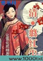 飞跃时空守护爱(清穿)