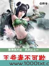 薄情佣兵妃：王爷妻不可欺