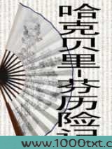 哈克贝里-芬历险记