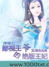 穿越之鄙视王爷的绝版王妃图片