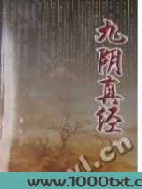 九阴真经图片
