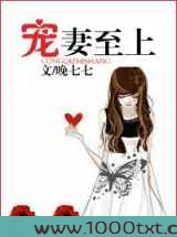 宠妻至上