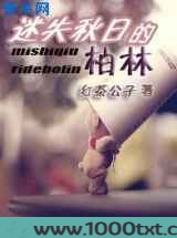 迷失秋日的柏林图片