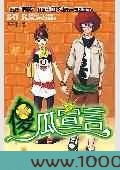 傻瓜宣言图片