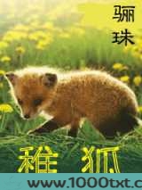 稚狐图片